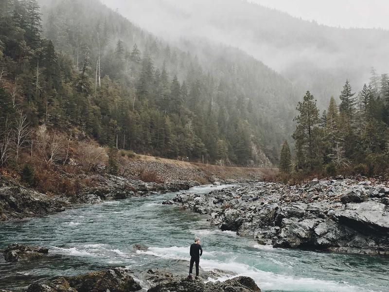 feedback screenshot 2